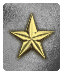 DF35-430-GD-SL Star Gold-Silver